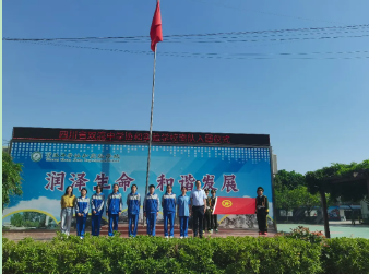 图片8