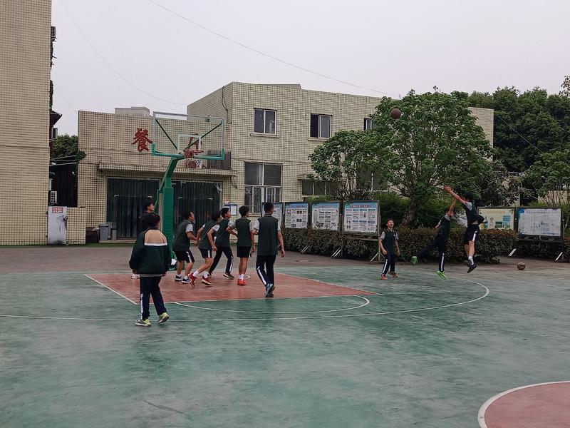 篮球6