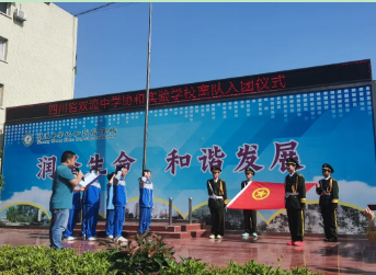 图片9