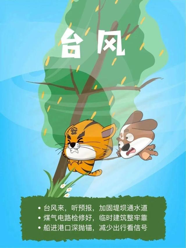 台风
