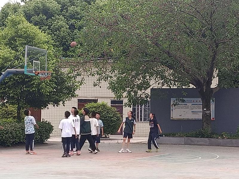 篮球5