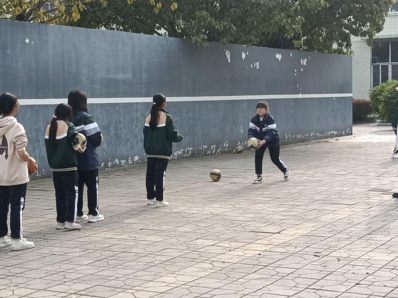 排球1